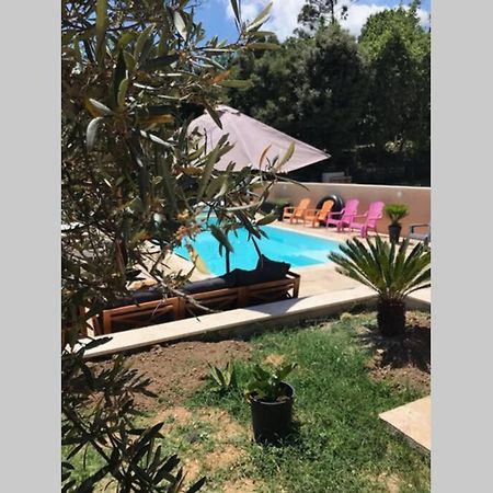 Logement Attenant A Une Villa T2 Avec Terrasse . Besse-sur-Issole Exterior photo